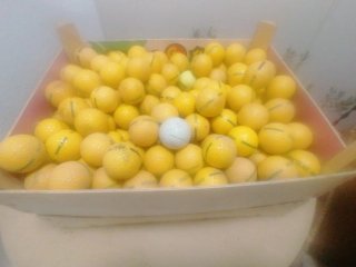 Pelotas de Golf Amarillas