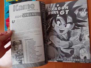 Kame Especial 1 y 2 de Dragon Ball GT
