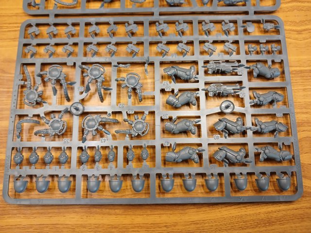 5 Primaris Hellblasters Space Marine Warhammer 40k