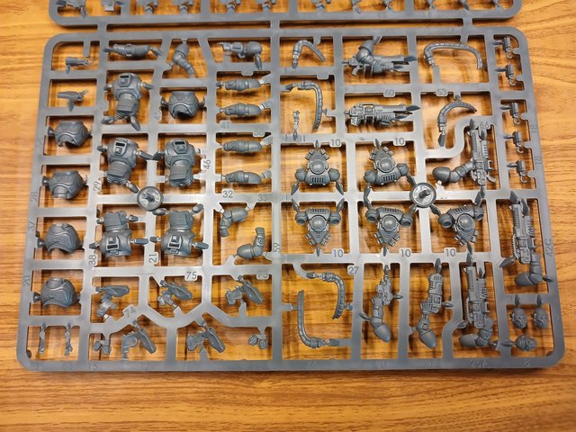 5 Primaris Hellblasters Space Marine Warhammer 40k