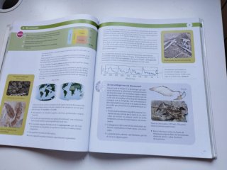 Biologia i geologia, 4 ESO, Projecte Construint...