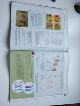 Biologia i geologia, 4 ESO, Projecte Construint...