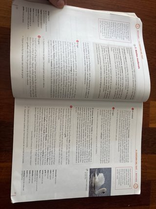 Llengua catalana i literatura, 1 ESO