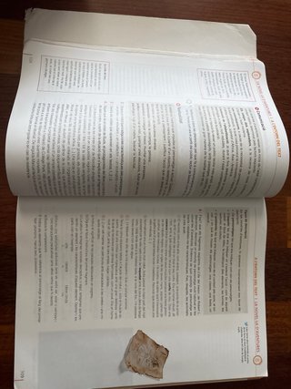 Llengua catalana i literatura, 1 ESO