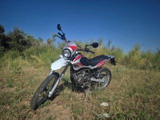Beta Alp 4.0 - 5700km - ITV 2028 - etiqueta C