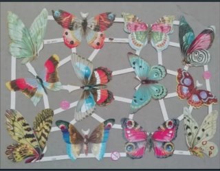 Lamina Cromos troquelados EF 7408. Mariposas