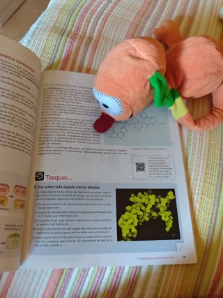 Biologia en context, Batxillerat 2