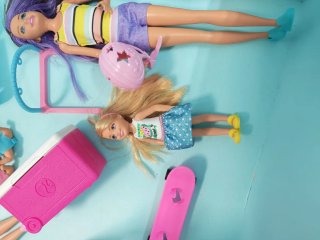Lote Barbie con accesorios