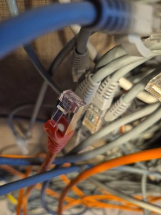 Lote Cables Ethernet