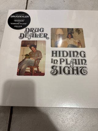 Vinile Drug Dealer Hiding In Plain Sight