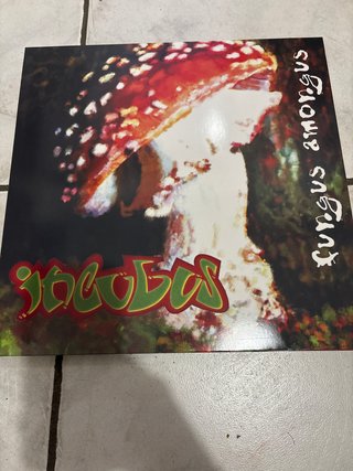 Vinile Incubus - Fungus Amongus