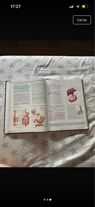 Anatomía aplicada