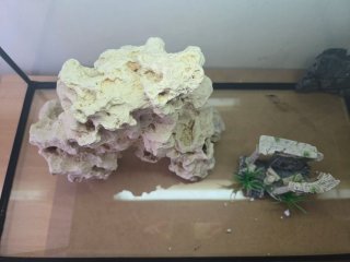 Acuario con decoración