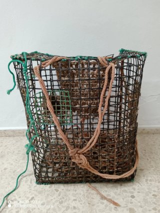 Pulpero