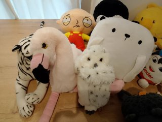 Lote 15 peluches variados