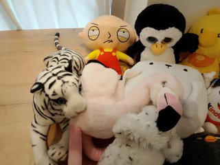 Lote 15 peluches variados