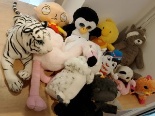 Lote 15 peluches variados