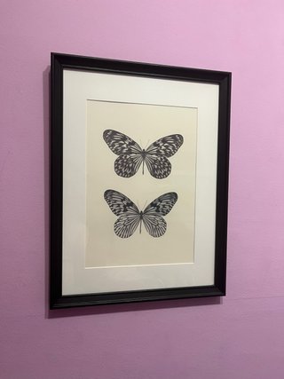 Cuadro mariposas marco negro