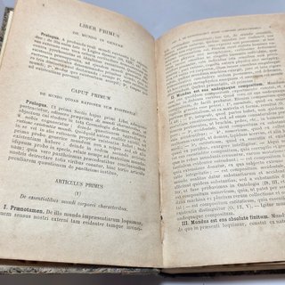 Libro Antico Summa Philosophica Maria Zigliara XIX