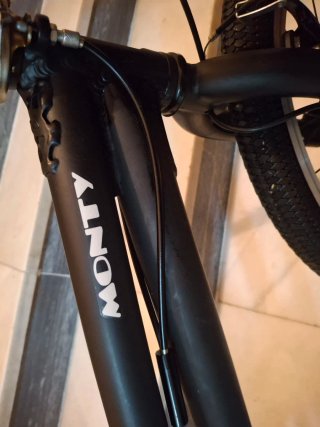 Bicicleta Monty Free 302 BMX