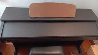 Piano Eléctrico Ringway TG8865 88 Teclas