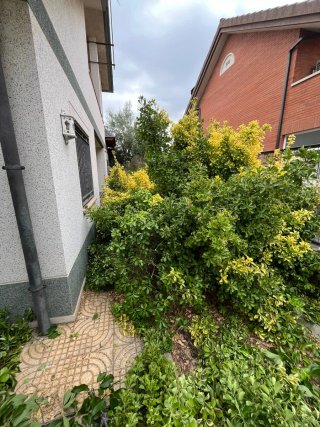 Jardinero profesional