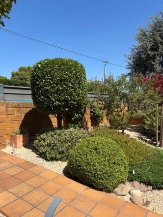 Jardinero profesional