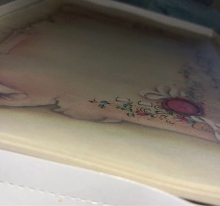 100 fogli carta pergamena 250x350mm