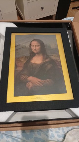 Cuadro Mona Lisa y Libro