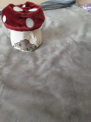 Hucha peluche nici