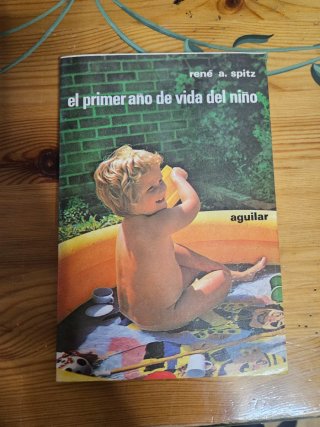 El primer año de vida del niño
