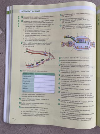 Biologia, 2 Batxillerat, Projecte Construint mons