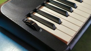Teclado Casio Casiotone CT-S300