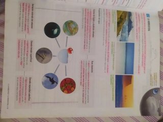 Biología y Geología 1 ESO edelvives