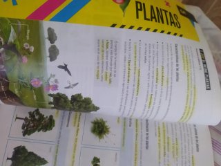 Biología y Geología 1 ESO edelvives