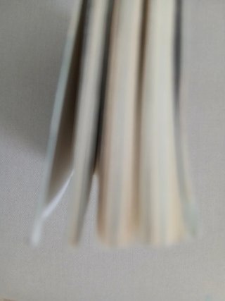 Viatgers Intrèpids