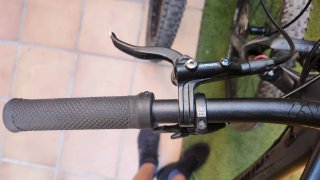 Radon Jealous AL 8.0 2024