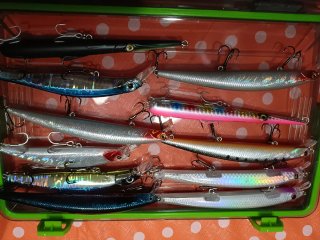 Vendo sett da pesca spinning