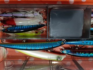 Vendo sett da pesca spinning