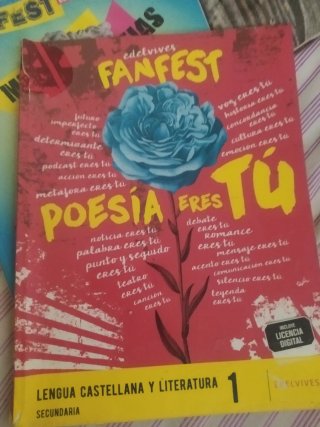 Lengua castellana y literatura 1 Secundaria
