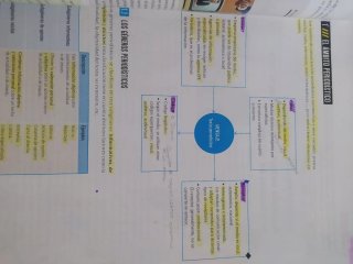 Lengua castellana y literatura 1 Secundaria