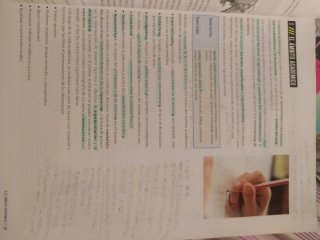 Lengua castellana y literatura 1 Secundaria