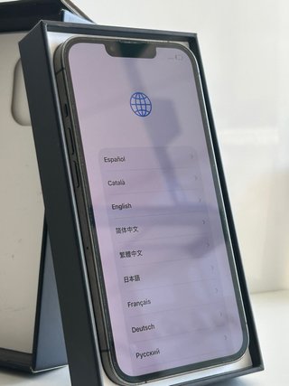 iPhone 13 Pro 256 GB 100%
