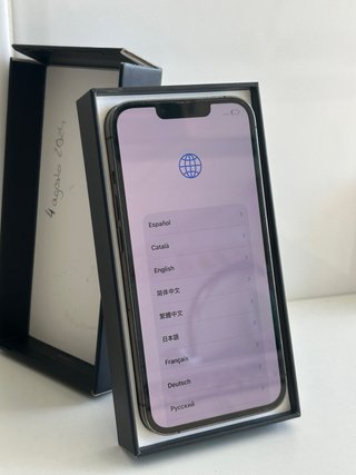 iPhone 13 Pro 256 GB 100%