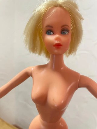 Muñeca Barbie Living Coleccionista