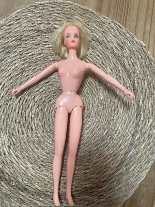 Muñeca Barbie Living Coleccionista