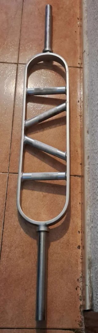 Barra Romana maciza 8kg 28mm