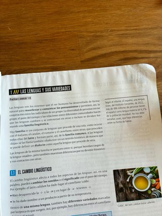 Libro de Lengua y Literatura Fanfest 2 ESO