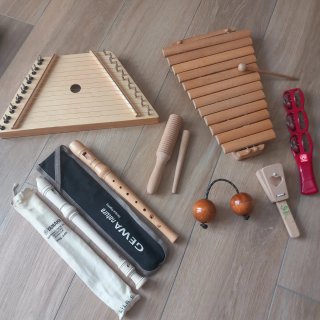 Lote instrumentos musicales infantiles