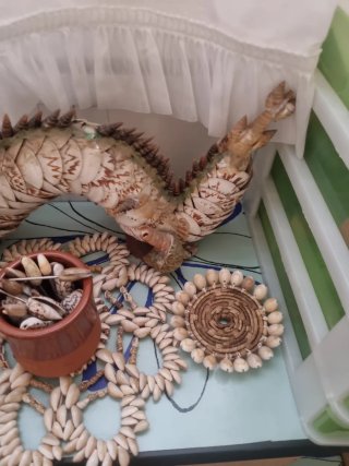 Dragón de caracolas y detalles marinos